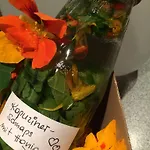 Lägenhet Kräuterfewo Alexandra Steeg