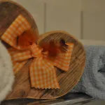 Kräuterfewo Alexandra Lägenhet Steeg