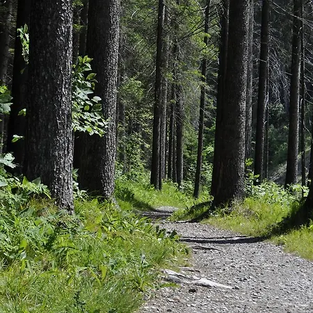 Kräuterfewo Alexandra Apartment