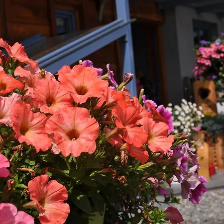 Kräuterfewo Alexandra *