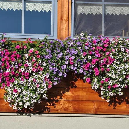 Kräuterfewo Alexandra * Steeg