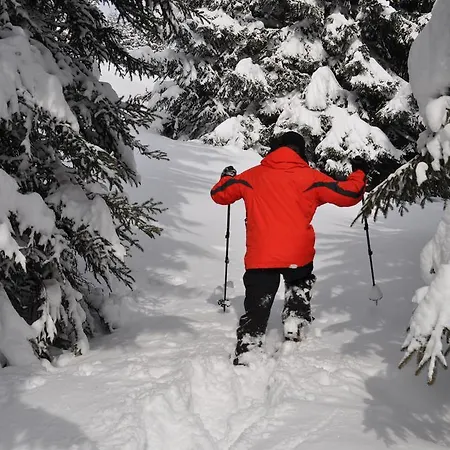 Kräuterfewo Alexandra Apartment *