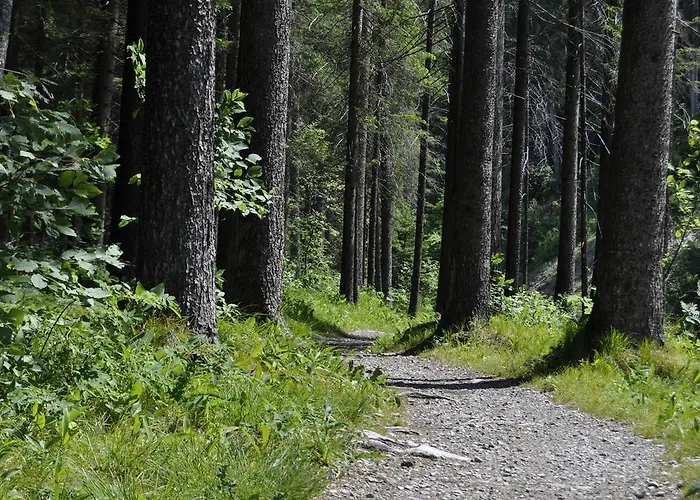 Kräuterfewo Alexandra Apartment