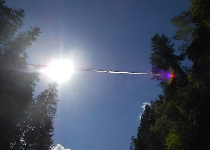 Kräuterfewo Alexandra * Steeg