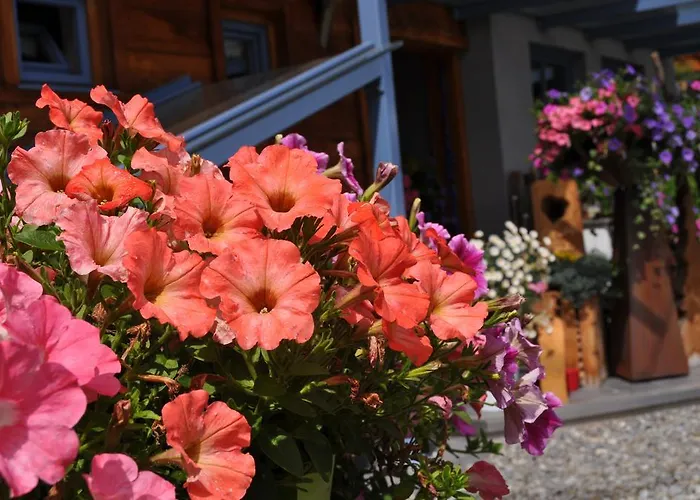 Kräuterfewo Alexandra *