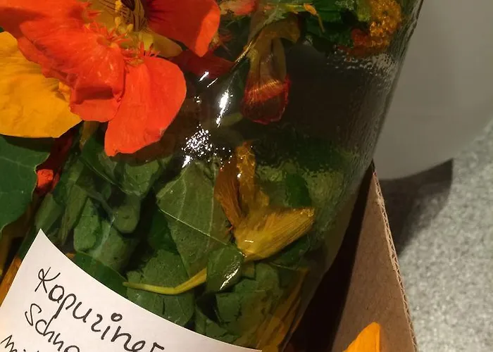 Apartment Kräuterfewo Alexandra Steeg