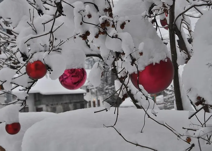 Apartment Kräuterfewo Alexandra Steeg