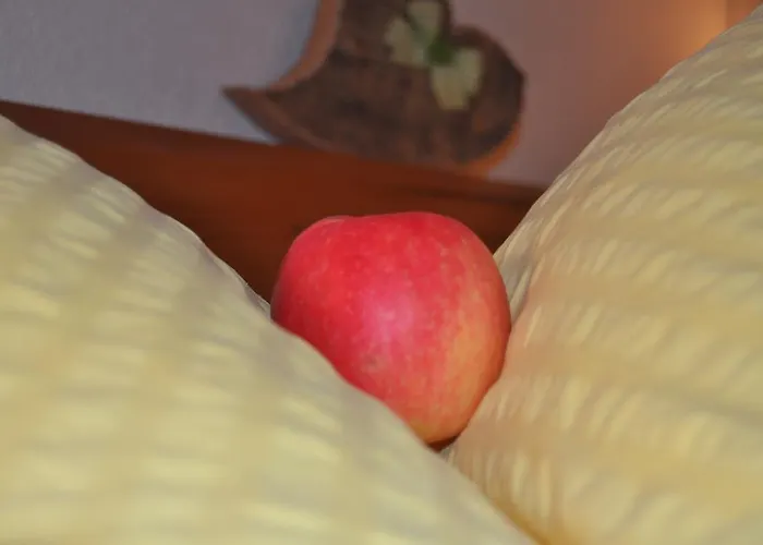 Kräuterfewo Alexandra Apartment *