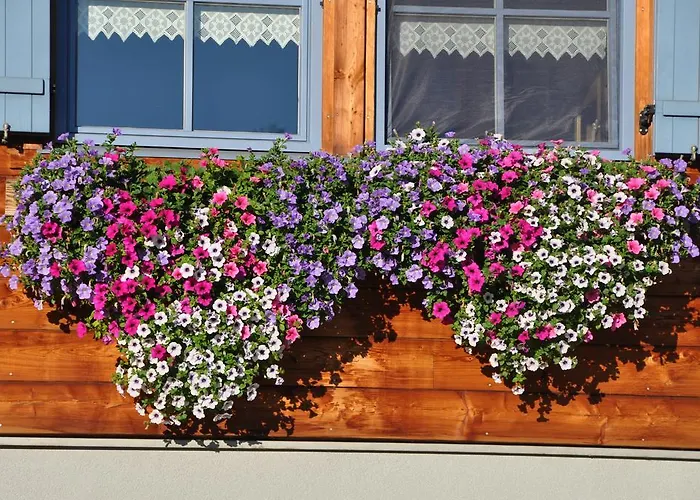 Kräuterfewo Alexandra * Steeg