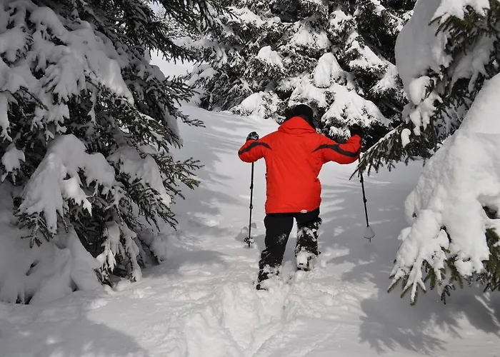 Kräuterfewo Alexandra Apartment *