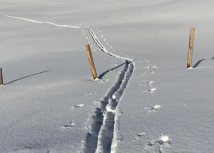 Apartment Kräuterfewo Alexandra