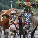 Kräuterfewo Alexandra * Steeg