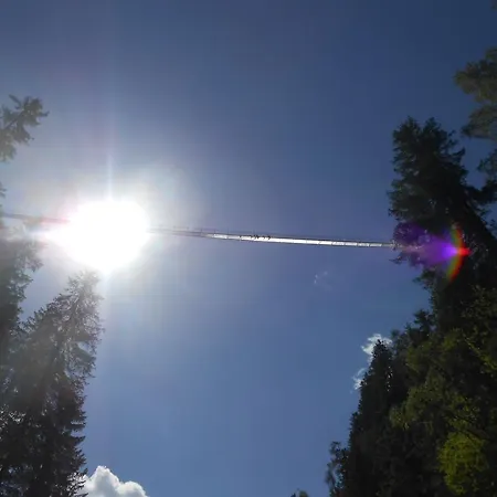 Kraeuterfewo Alexandra * Steeg