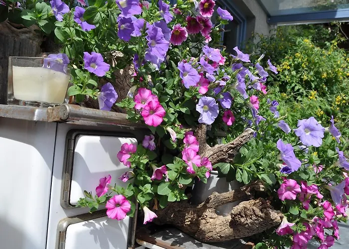 Kraeuterfewo Alexandra Apartmán *