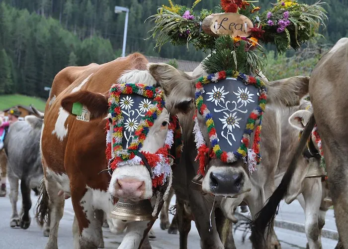 Kraeuterfewo Alexandra * Steeg