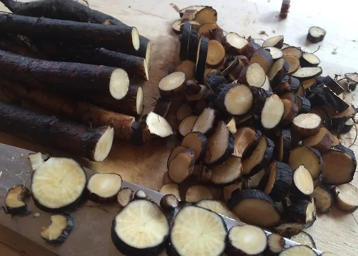 Apartmán Kraeuterfewo Alexandra *