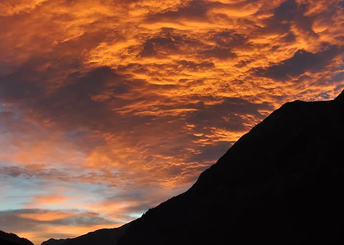 Kraeuterfewo Alexandra * Steeg